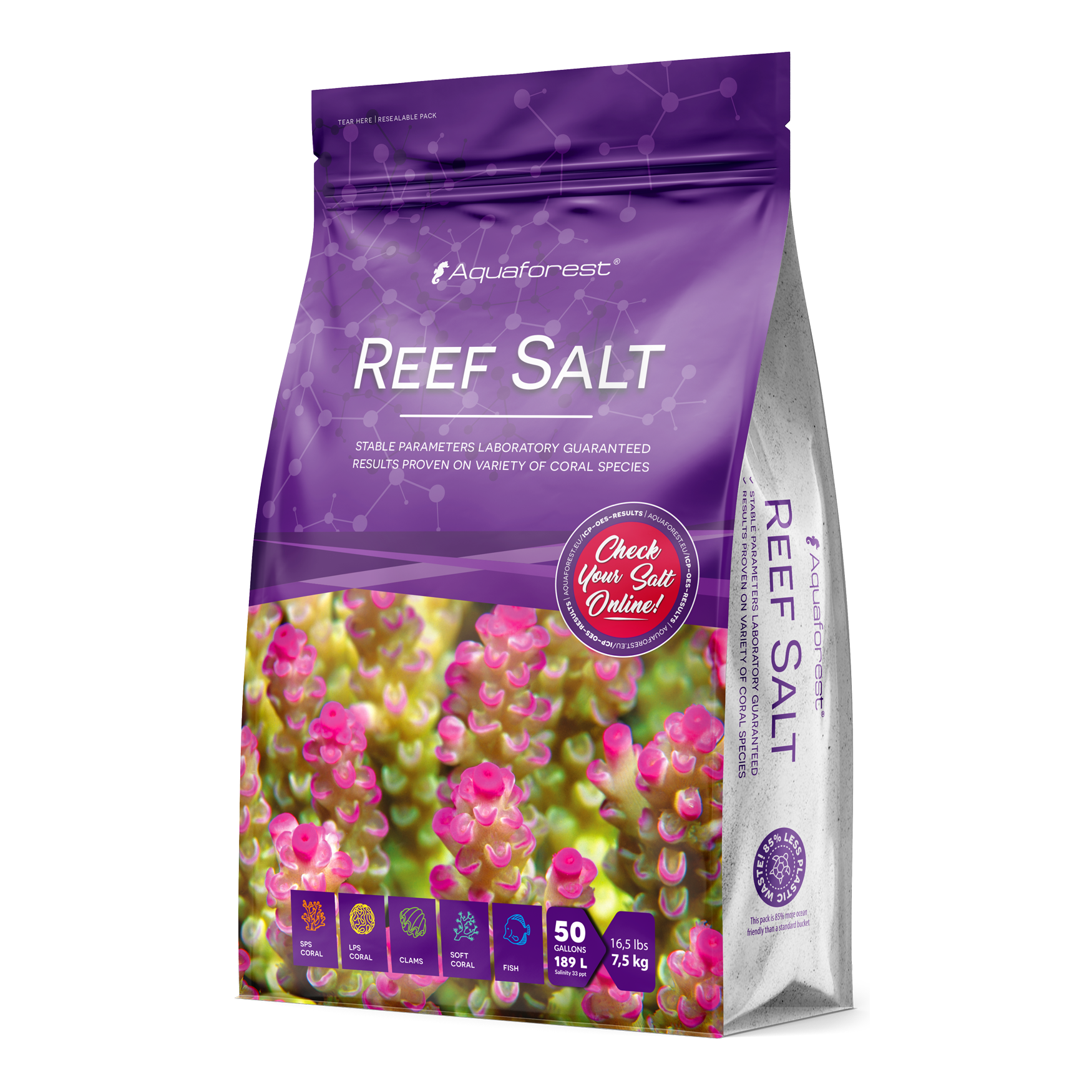 REEF SALT 1