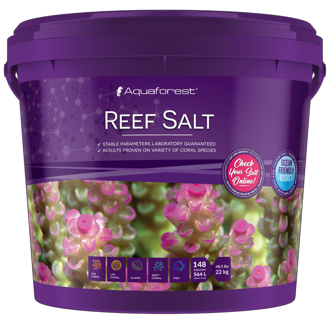 REEF SALT 2