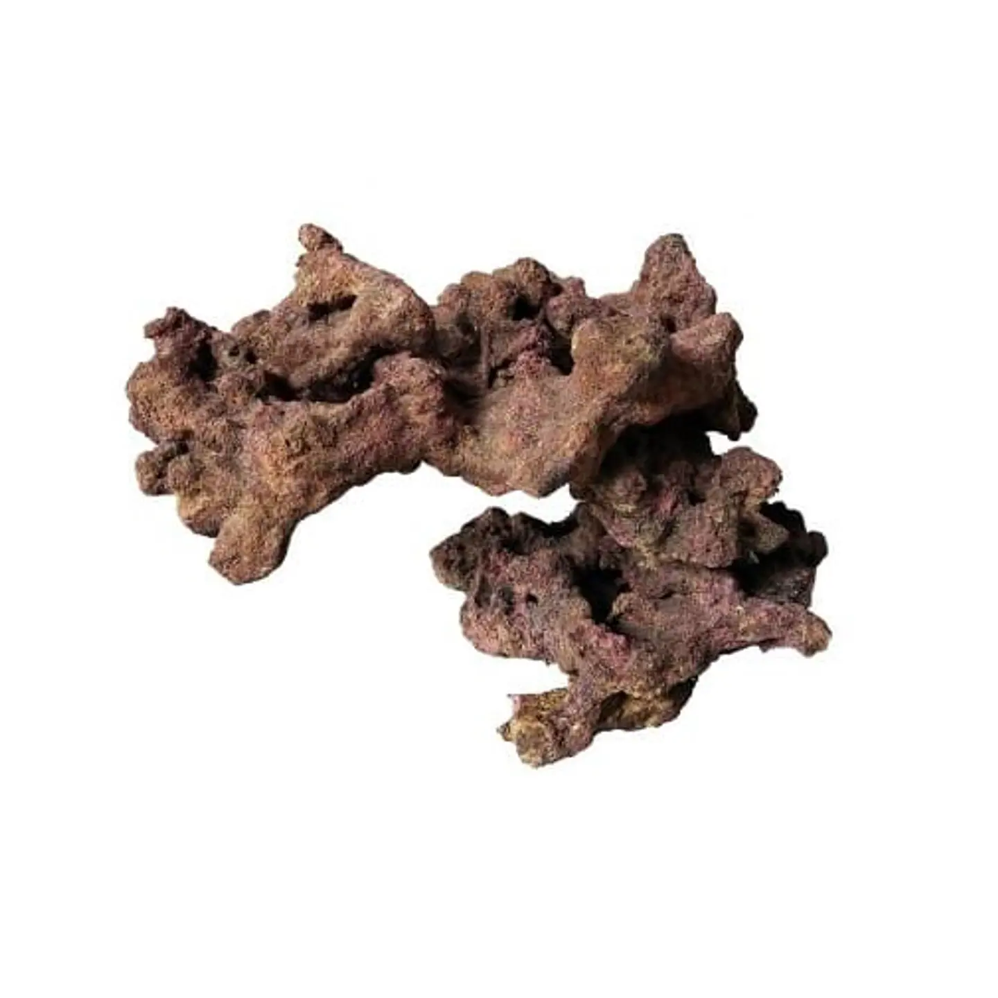 EcoReef Rock Centrepiece 02 1