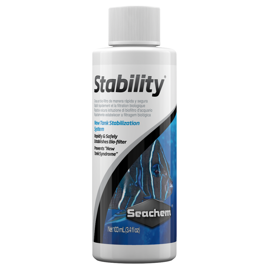 Stability 2