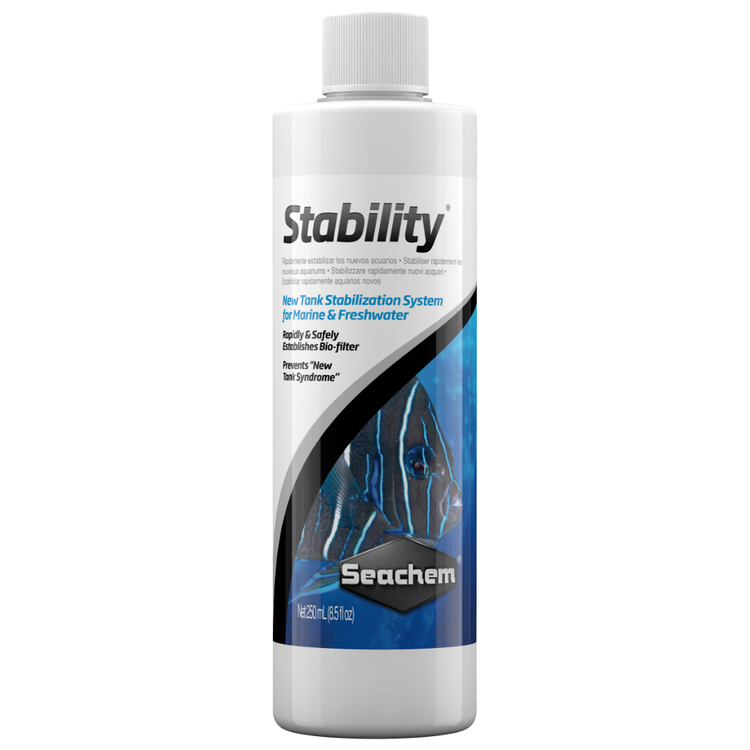 Stability 3