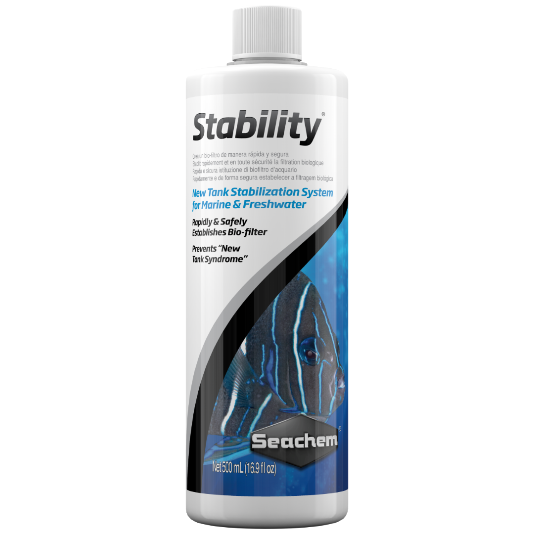 Stability 4