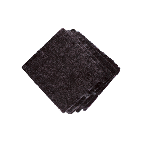 Red Marine Algae 2