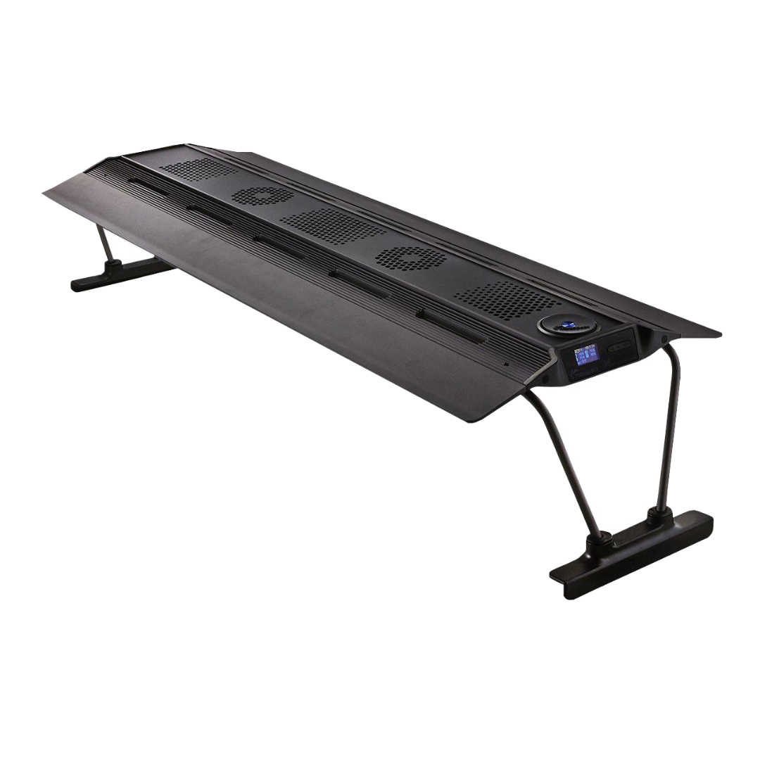 MAXSPECT RSX 2