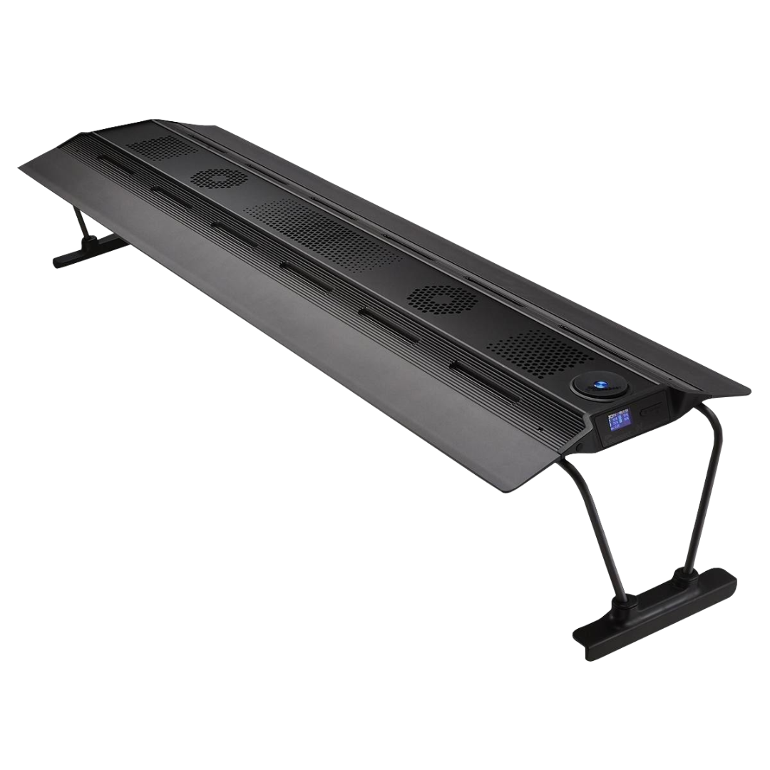 MAXSPECT RSX 3