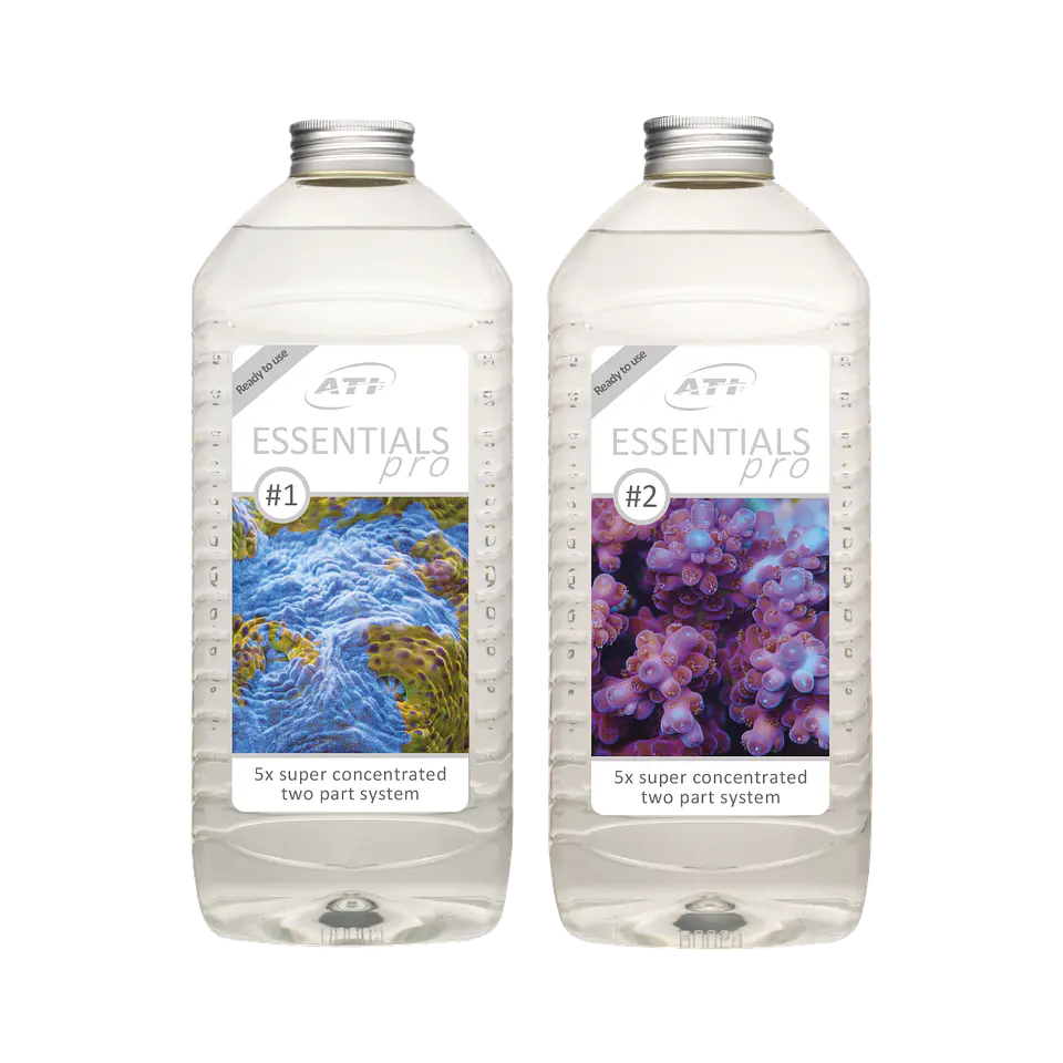 ATI Essentials Pro 1