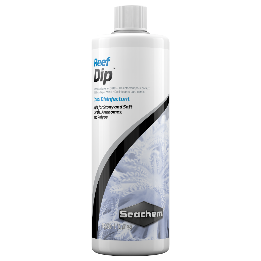 Reef Dip 3