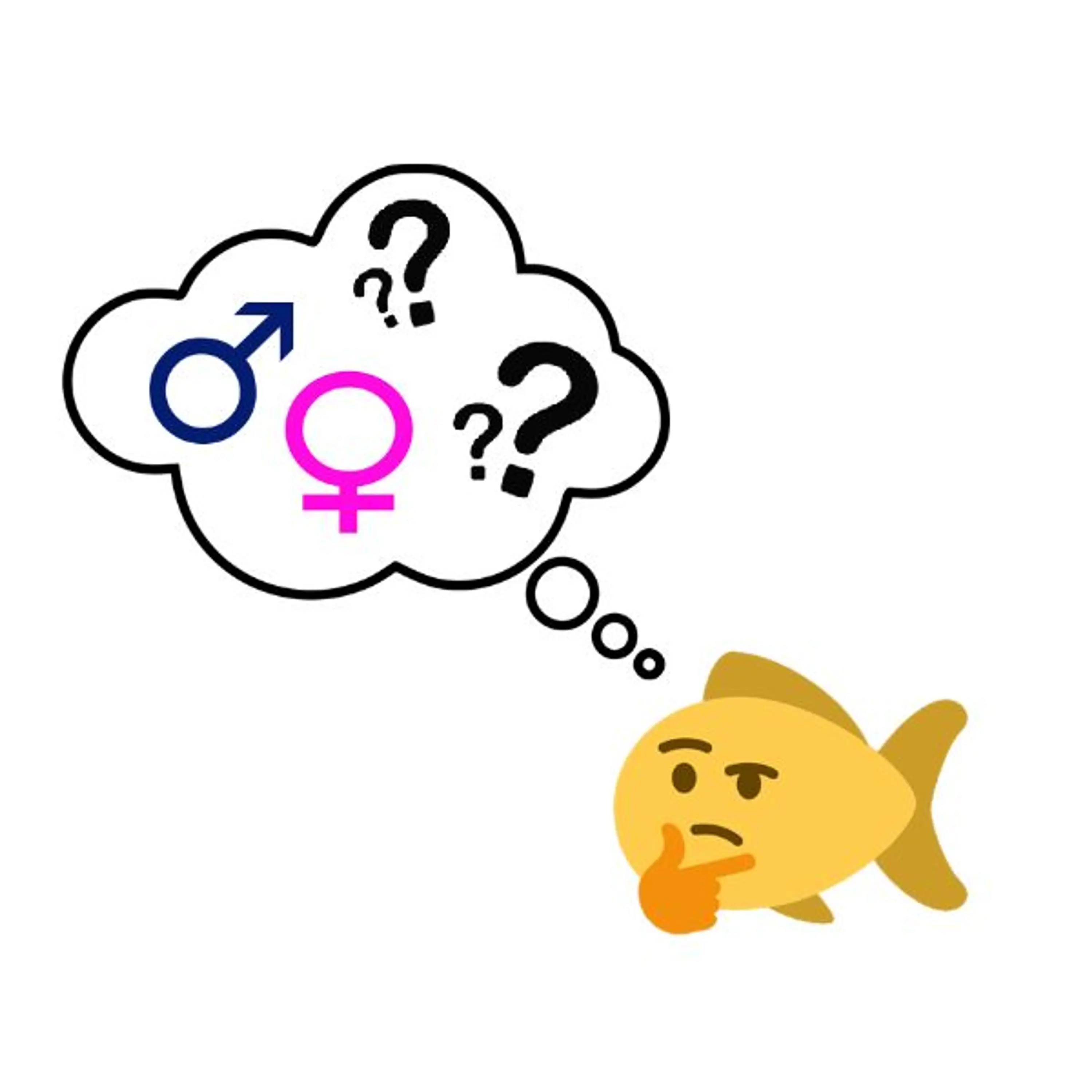 Hermafroditismo