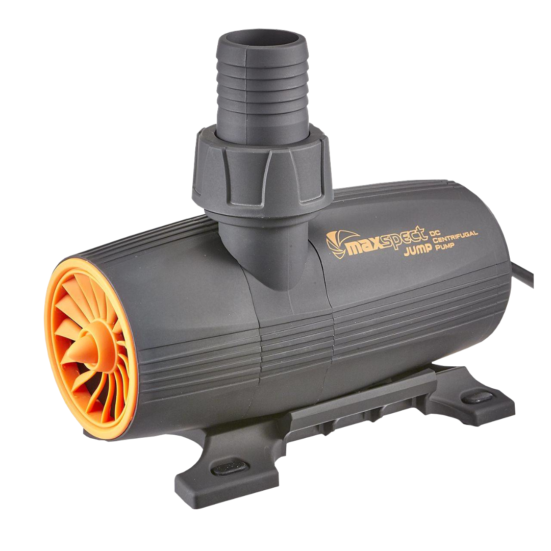 Maxspect Jump DC 2