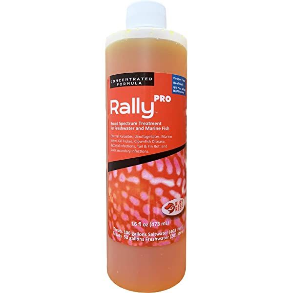 RALLY PRO
