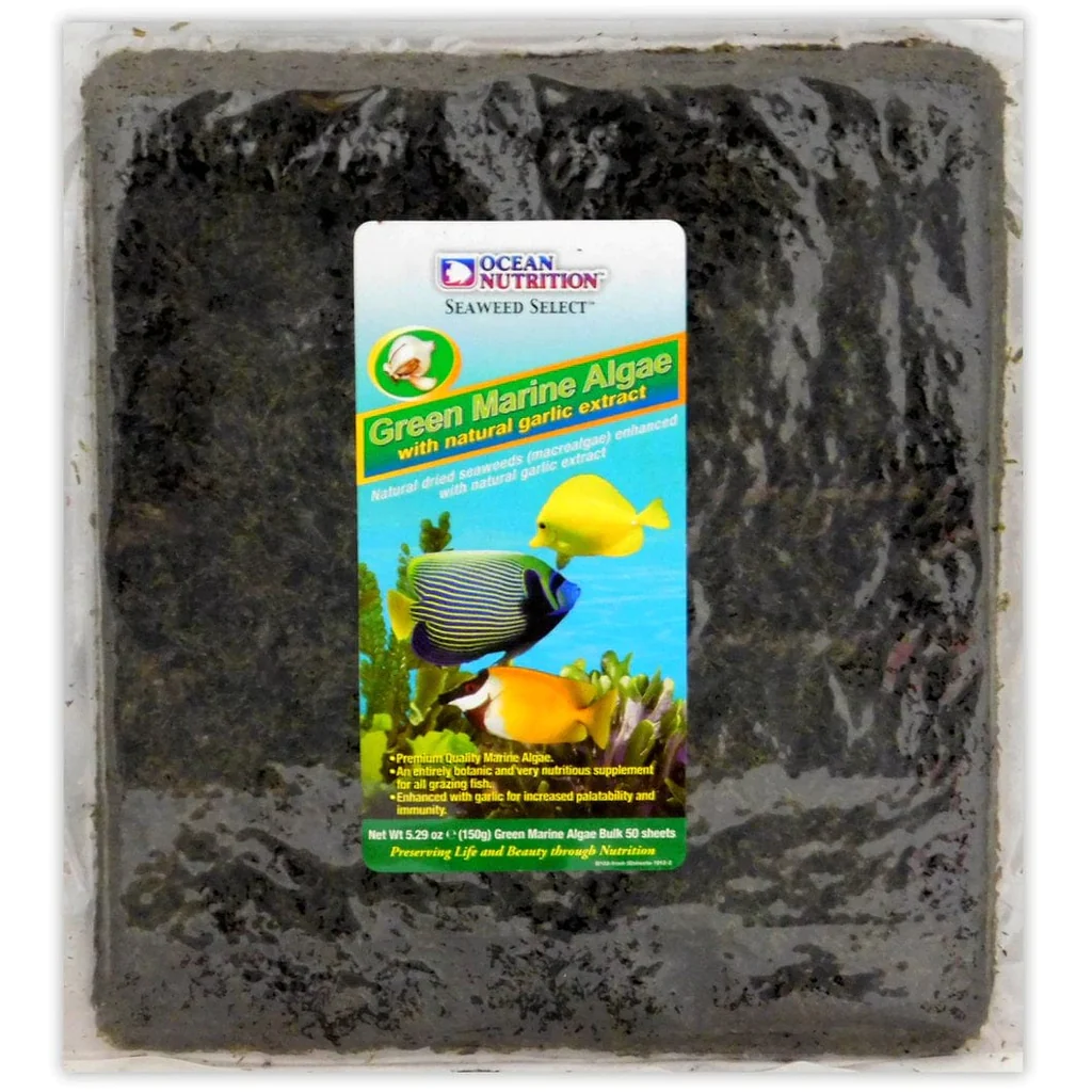 Green Marine Algae 50 Folhas