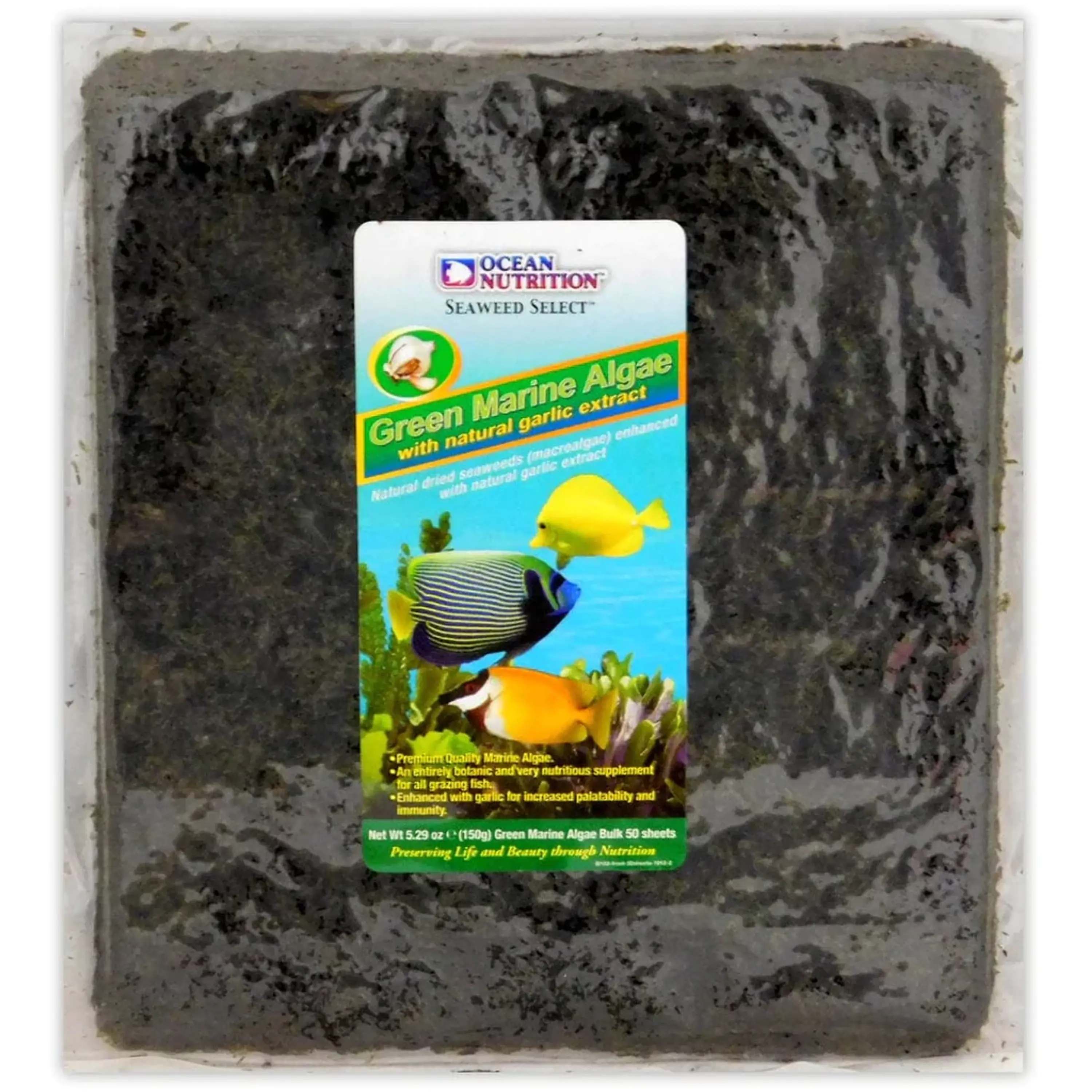 Green Marine Algae 50 Folhas
