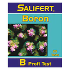TESTE DE BORO SALIFERT 1