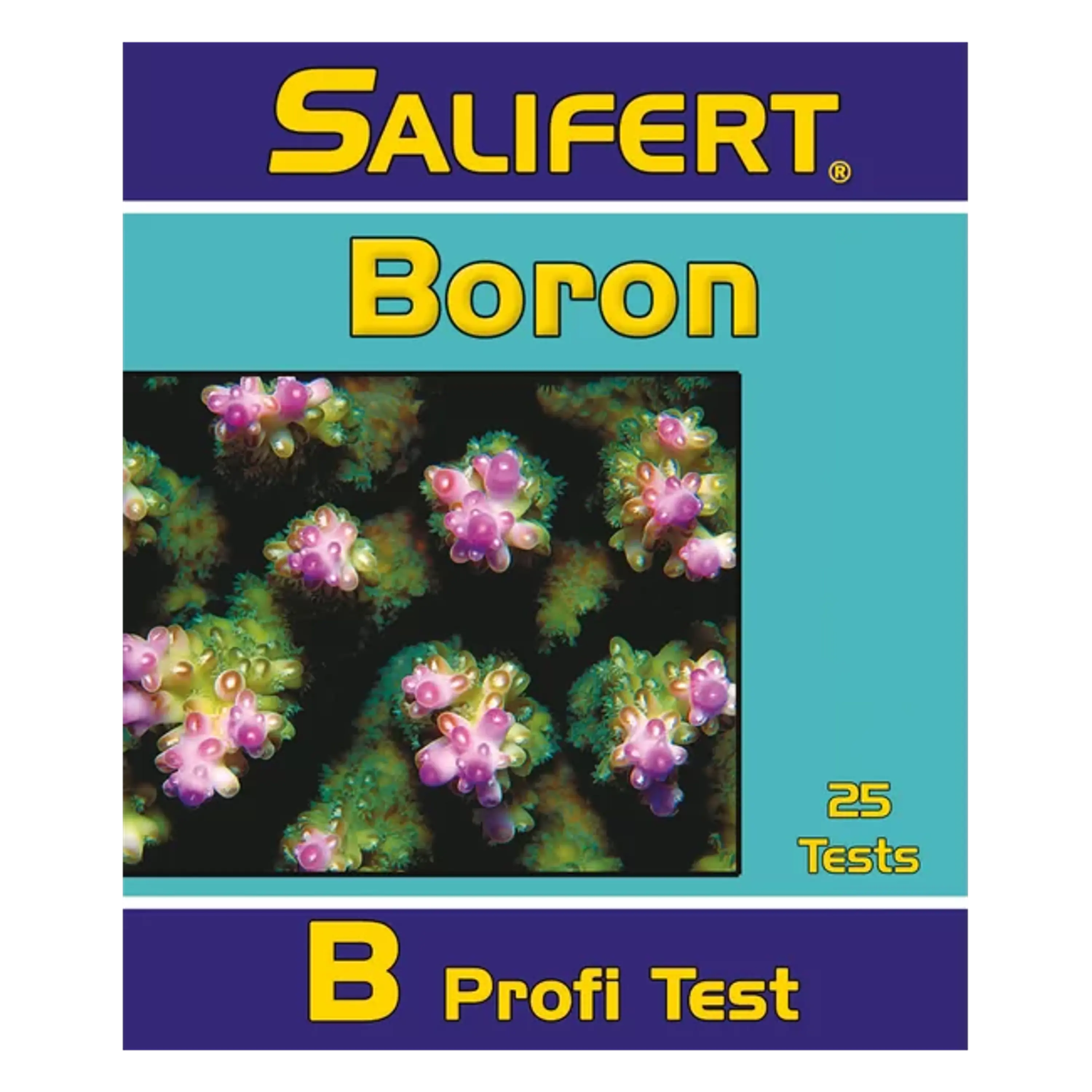 TESTE DE BORO SALIFERT
