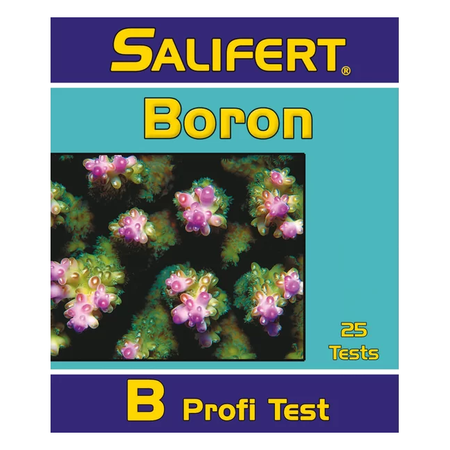TESTE DE BORO SALIFERT 1
