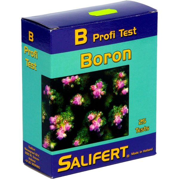 TESTE DE BORO SALIFERT 2