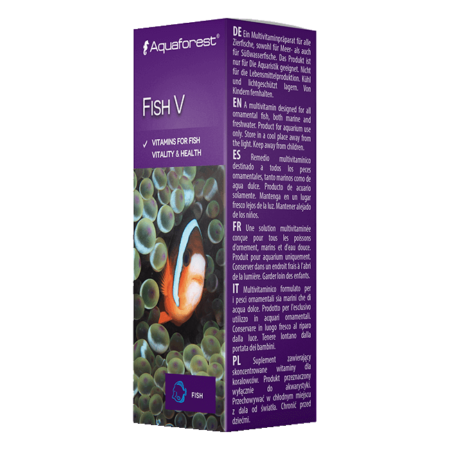Fish V 1