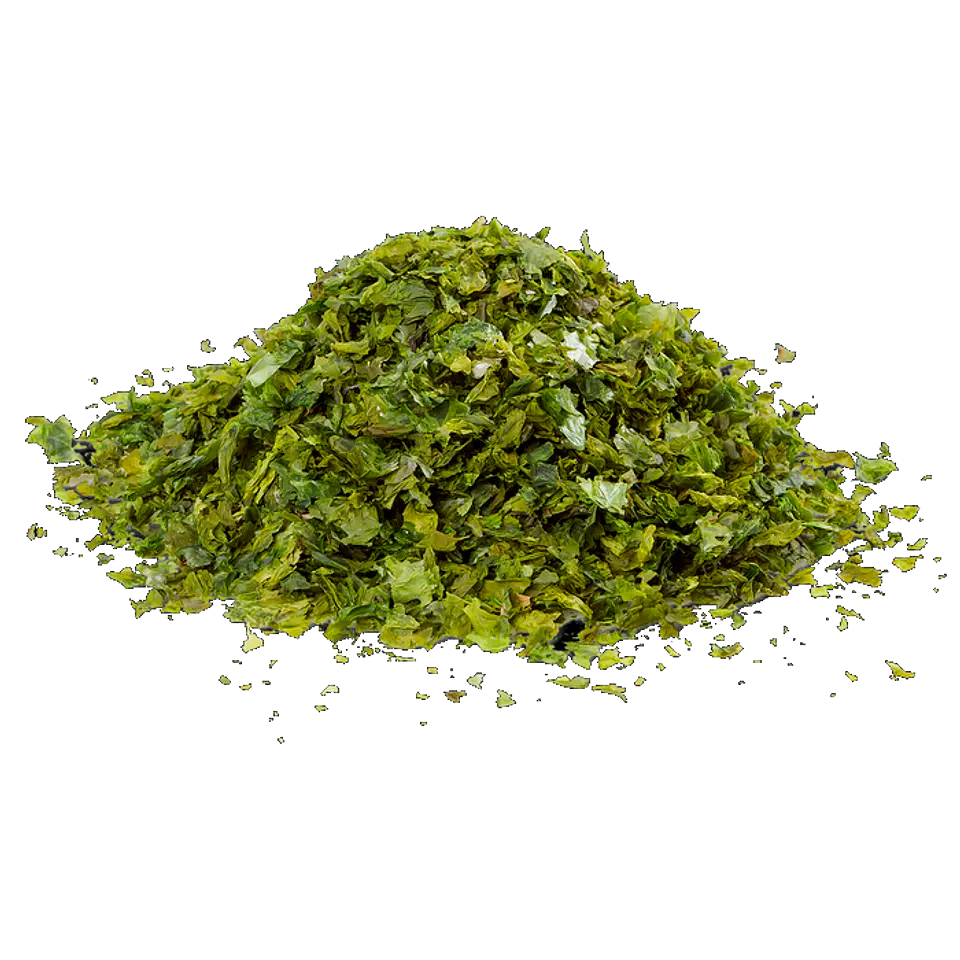 Seaweed Flakes Macroalga Ulva 2