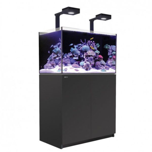 REEFER 250 DELUXE 1