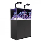 REEFER 250 DELUXE 1