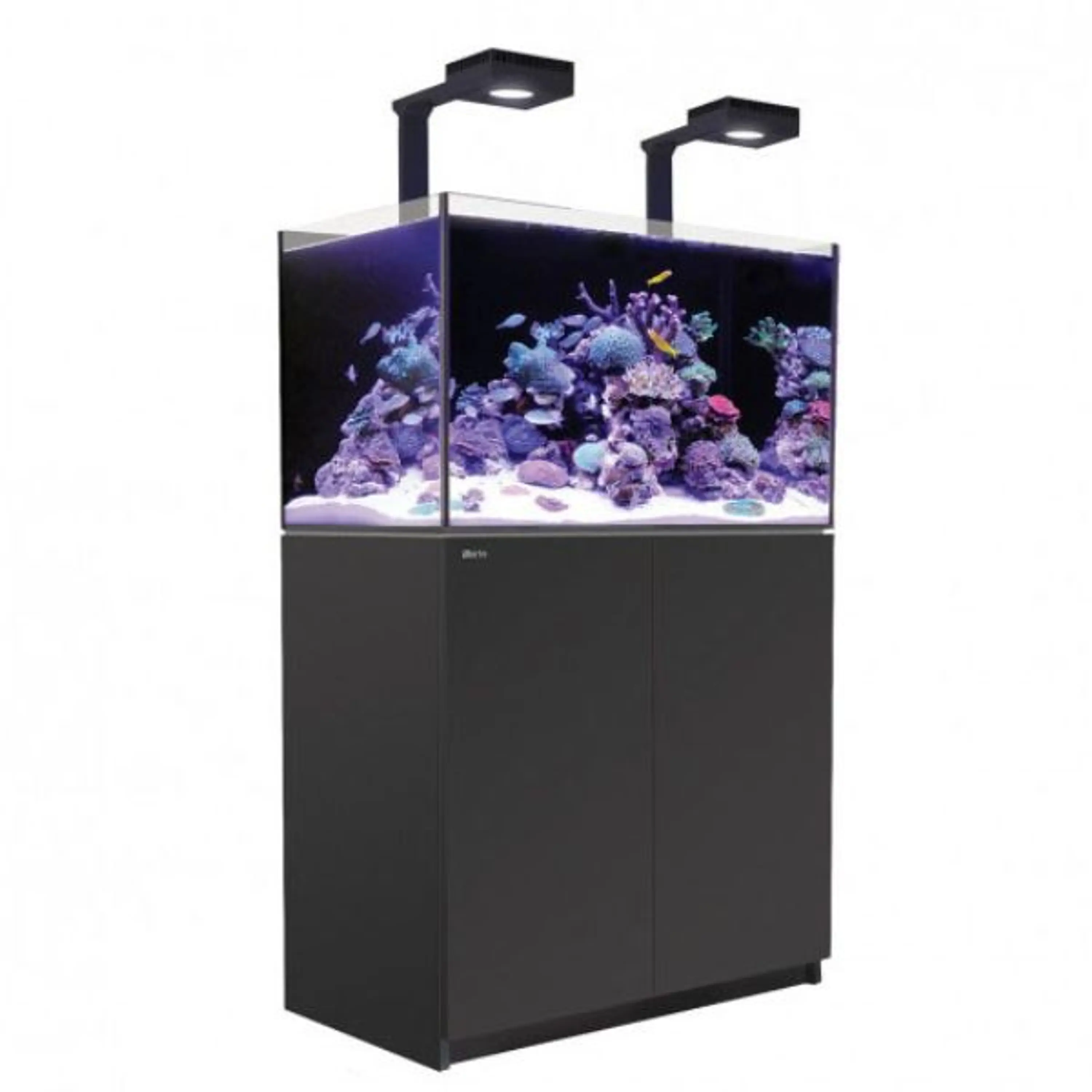 REEFER 250 DELUXE