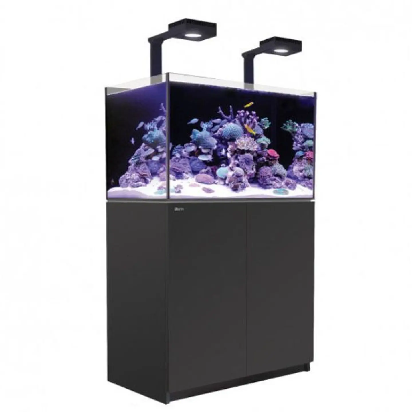 REEFER 250 DELUXE 1