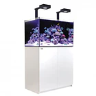REEFER 250 DELUXE 2