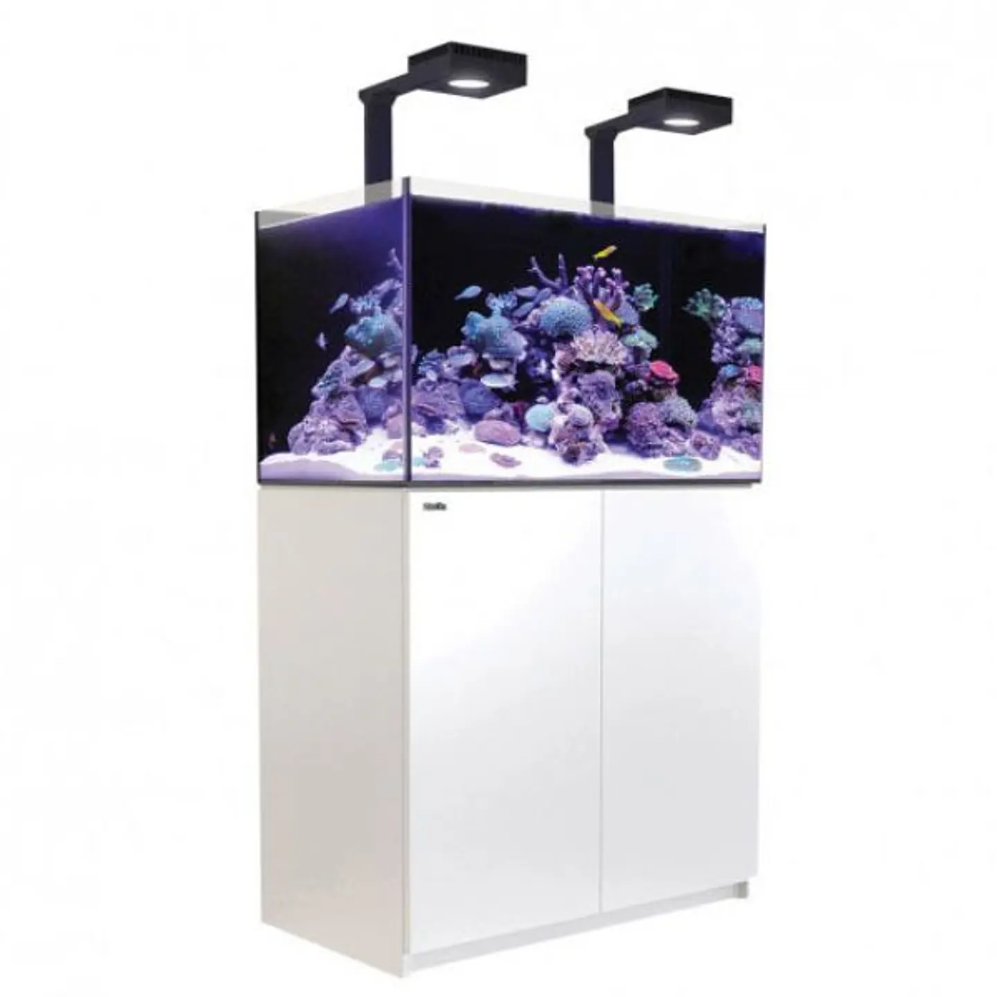 REEFER 250 DELUXE 2
