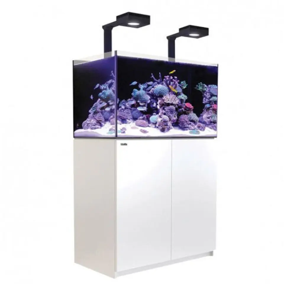 REEFER 250 DELUXE 2