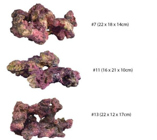 TMC EcoReef Rock - Mixed Box A 3
