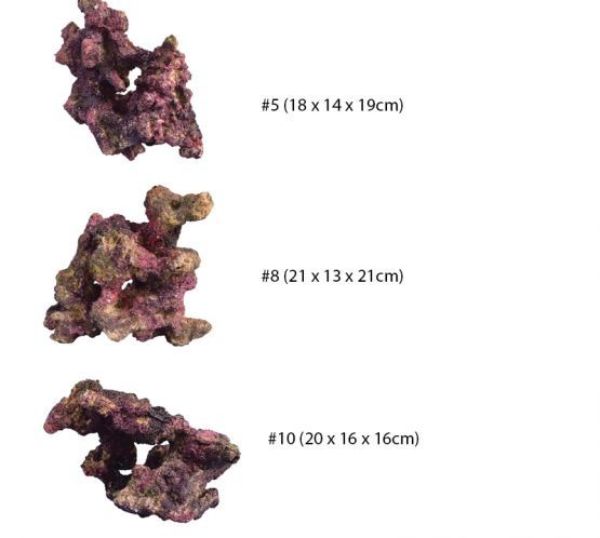 TMC EcoReef Rock - Mixed Box B 2
