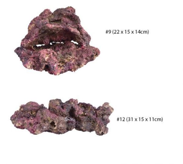 TMC EcoReef Rock - Mixed Box C 3