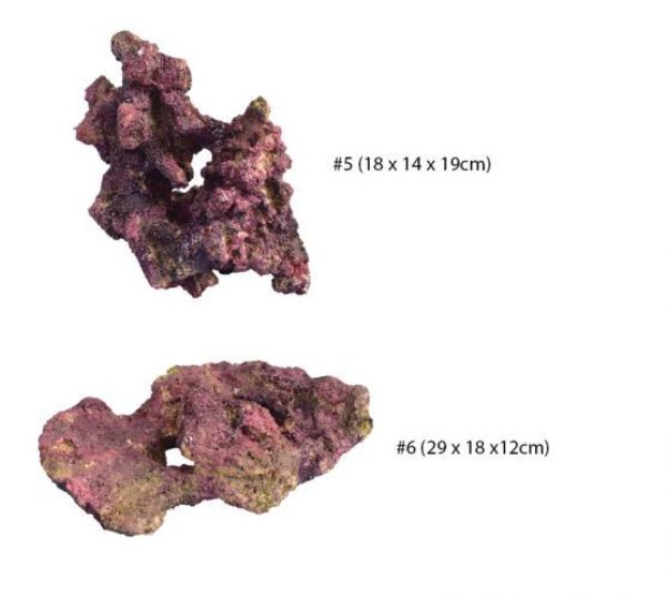 TMC EcoReef Rock - Mixed Box D 2