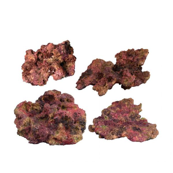 TMC EcoReef Rock - Mixed Box F 1