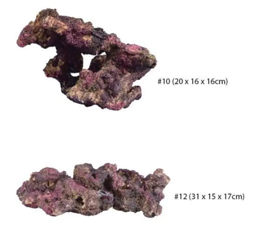 TMC EcoReef Rock - Mixed Box D 3