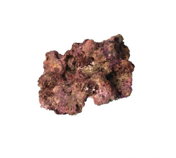 TMC EcoReef Rock - Mixed Box F 2
