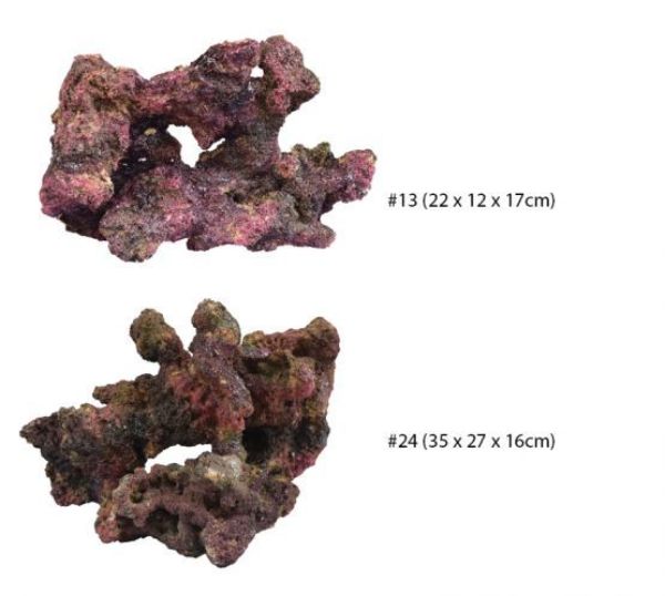 TMC EcoReef Rock - Mixed Box D 5