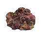 TMC EcoReef Rock - Mixed Box F - Thumbnail 4