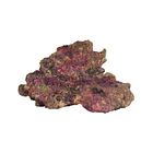 TMC EcoReef Rock - Mixed Box F 5
