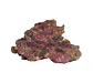 TMC EcoReef Rock - Mixed Box F - Thumbnail 5