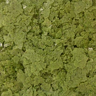 FORMULA TWO FLAKES 3