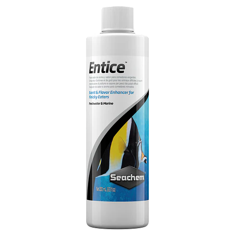 ENTICE