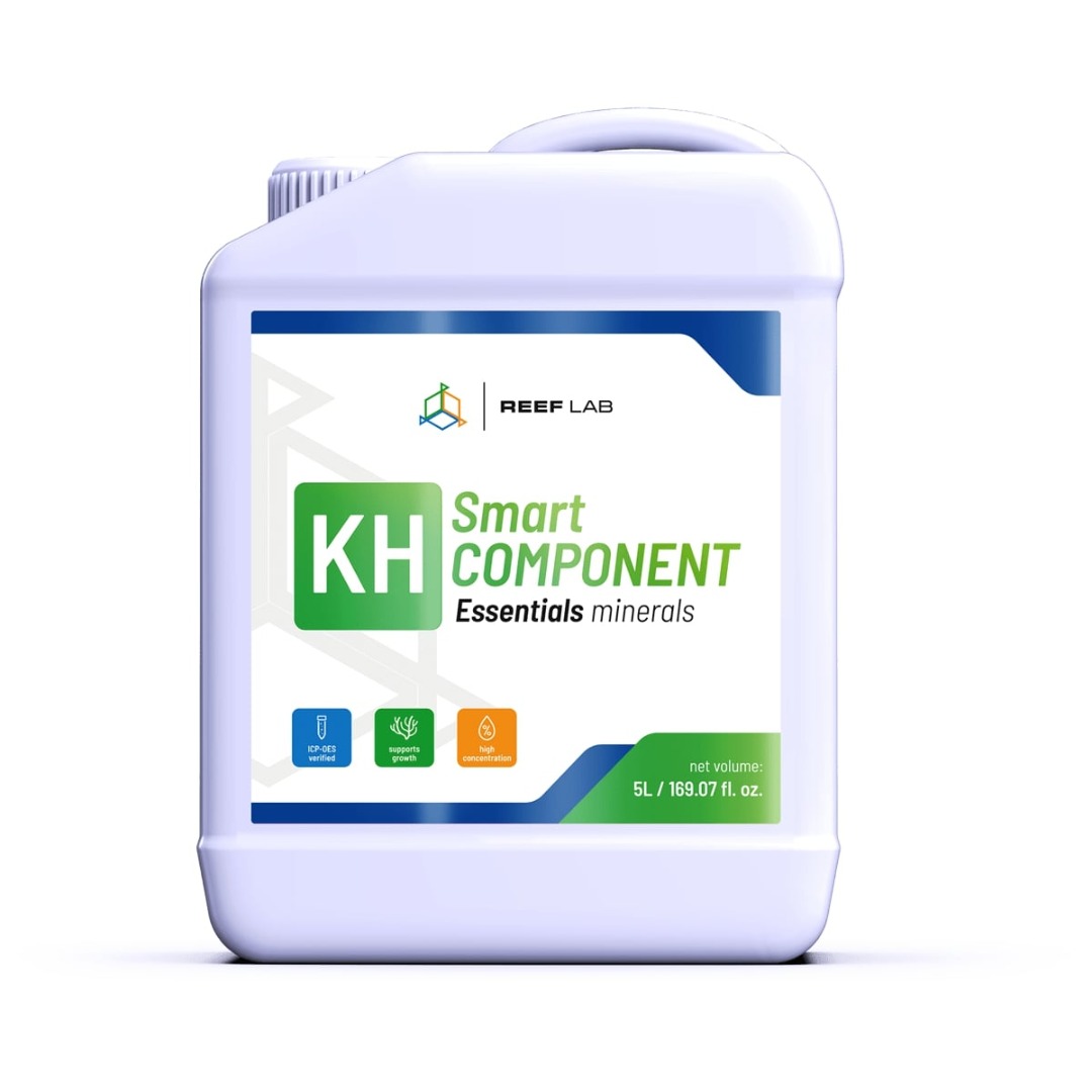 Smart Components KH 2