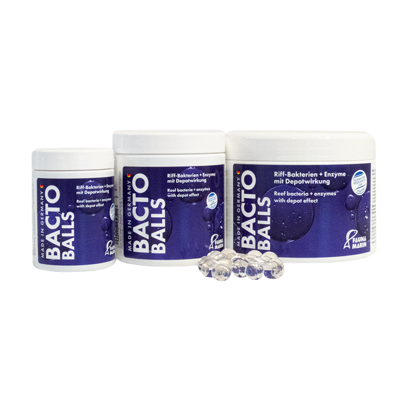 BACTO REEF BALLS