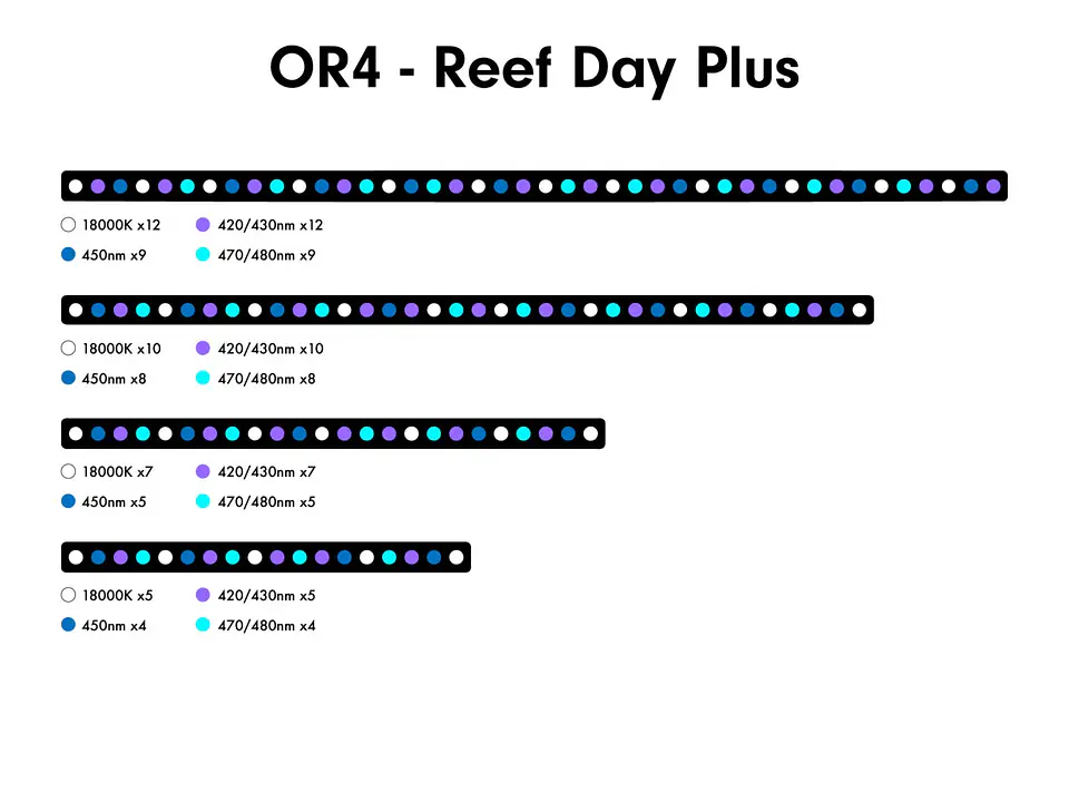 OR4 Reef Day Plus 3