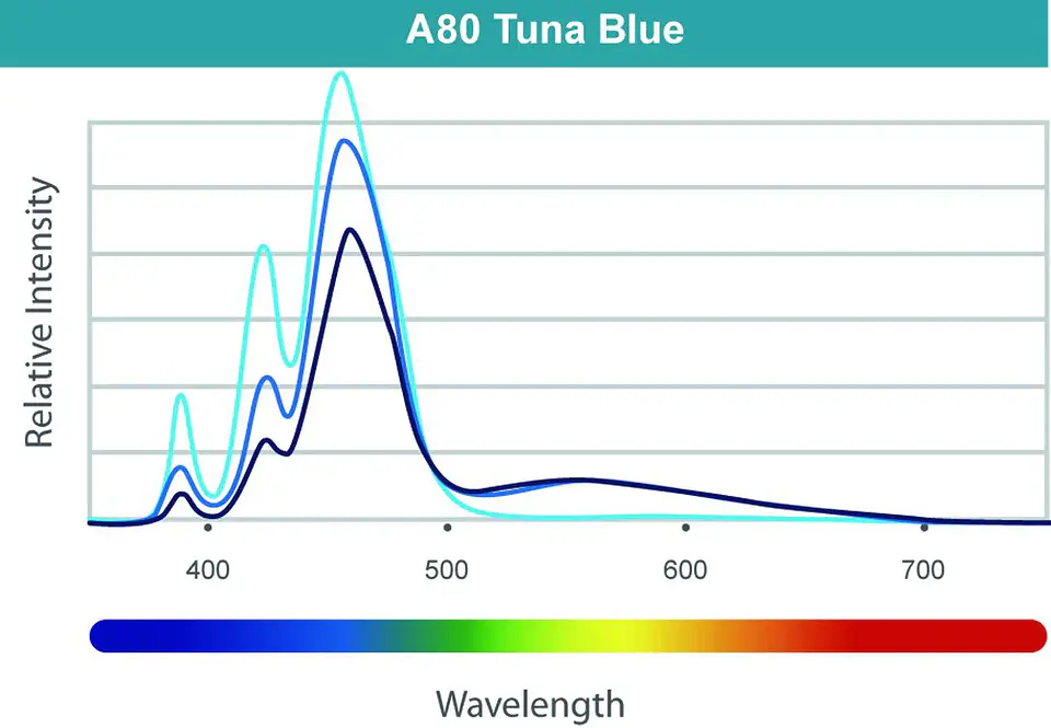 LED A80 Tuna Blue 3