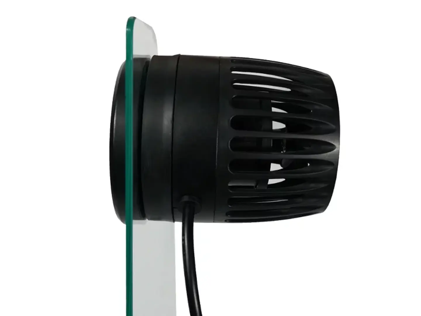 Mantis tourbon  2
