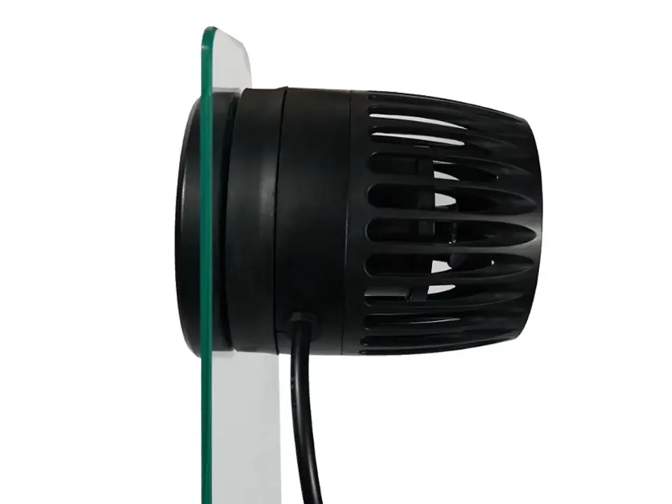 Mantis tourbon  2
