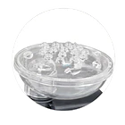 Octopus Essence 130 6