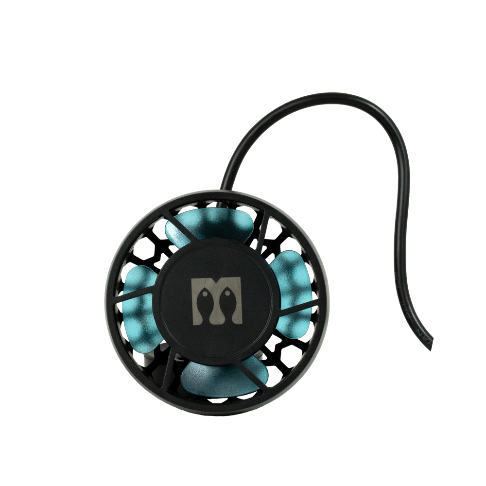 Mantis Hydrus 1